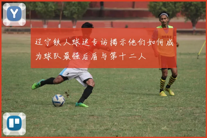 辽宁铁人球迷专访揭示他们如何成为球队最强后盾与第十二人